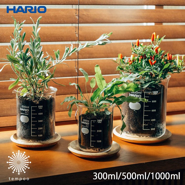 楽天市場】ガラス（サイズ（植木鉢）～ 3号）（植木鉢｜植木鉢