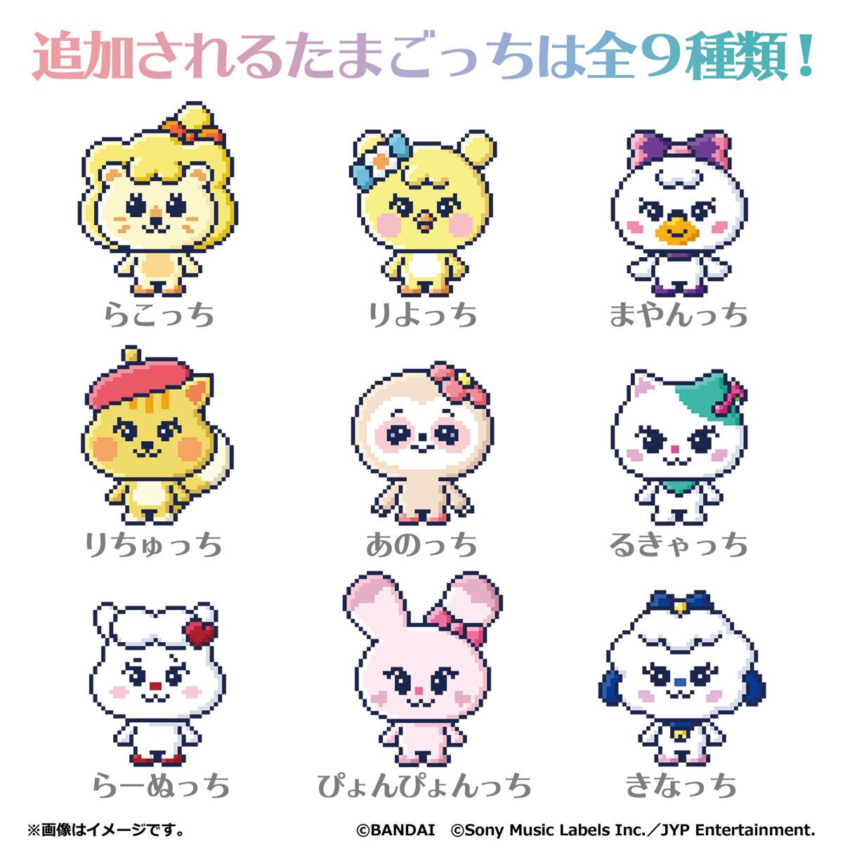 たまスマカード NIZOOフレンズ | Tamagotchi Smart（たまごっち