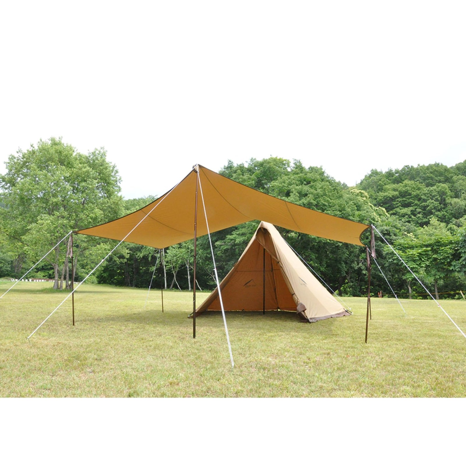 Amazon | テンマクデザイン 焚火タープ TC コネクト ヘキサ [ダック