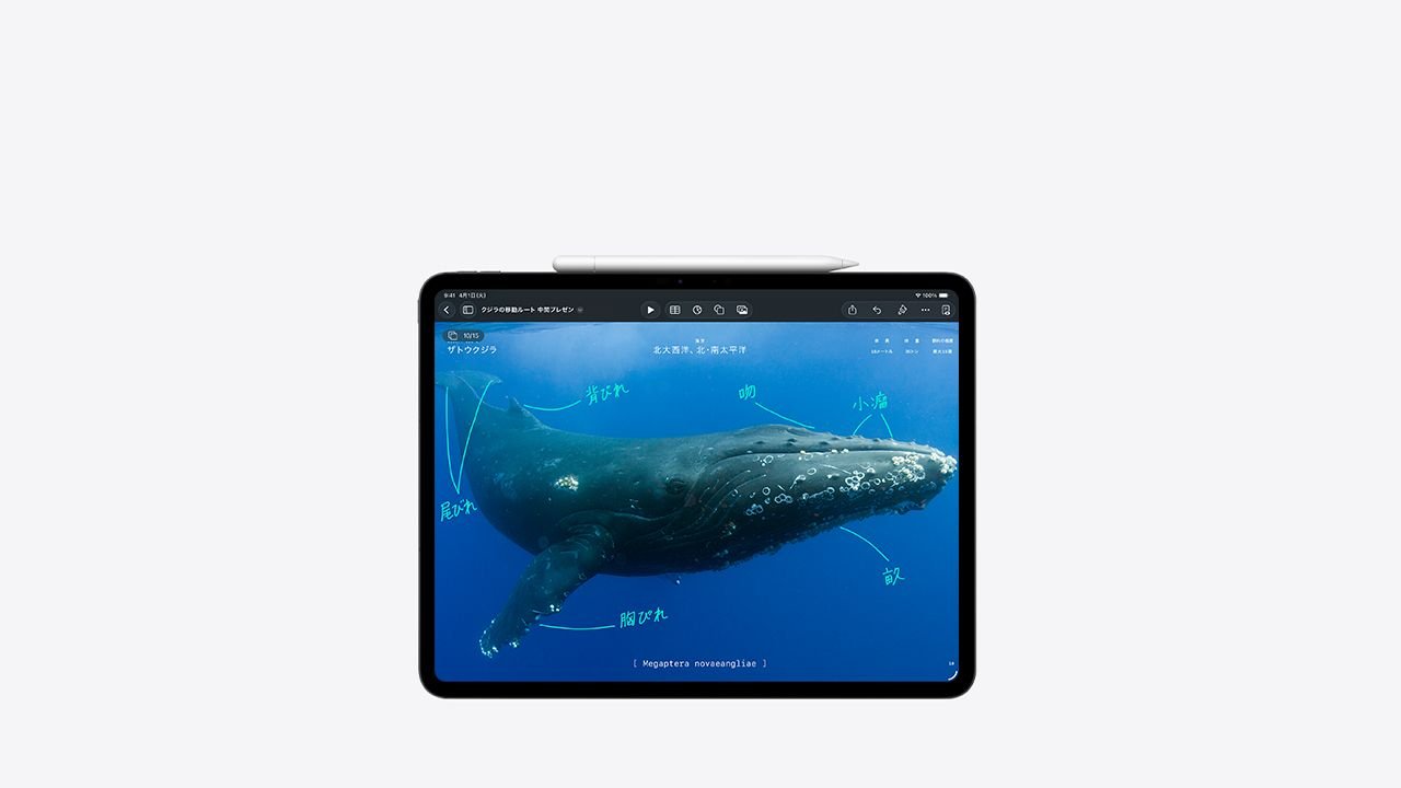 ipad-pro-apple-pencil-usbc-