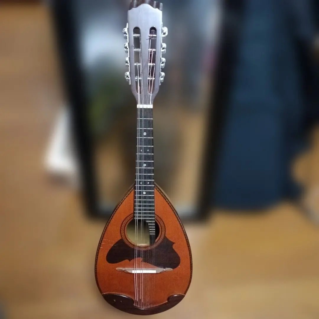 2026年最新】マンドリン suzuki 226の人気アイテム - メルカリ