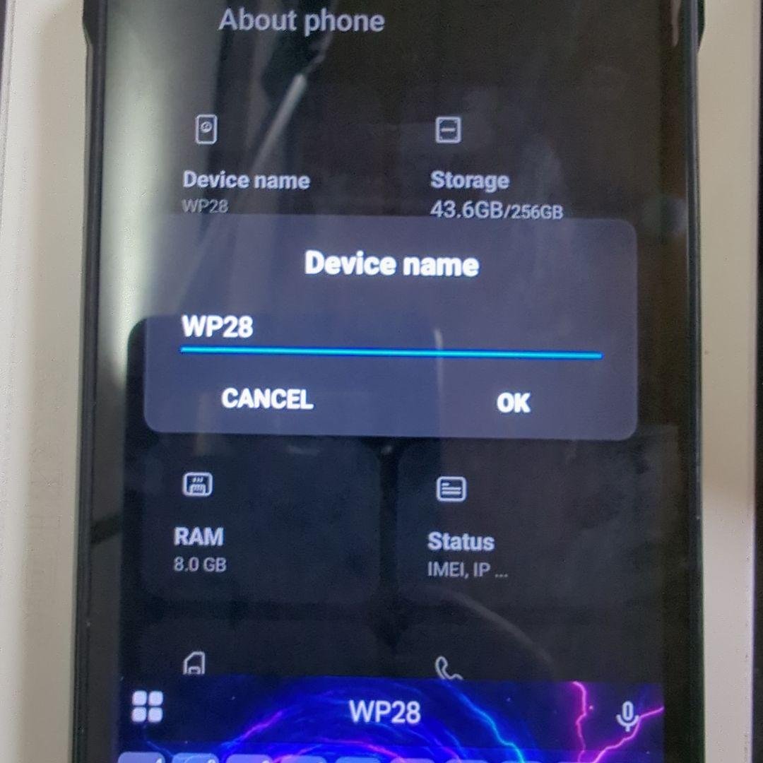 こちらは田中志音です